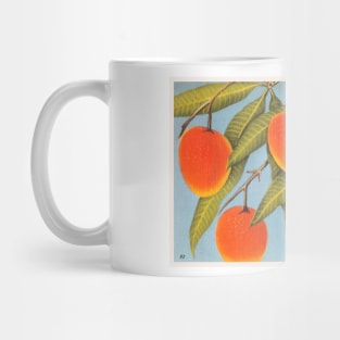 Haden Mangoes, Florida  postcard Mug